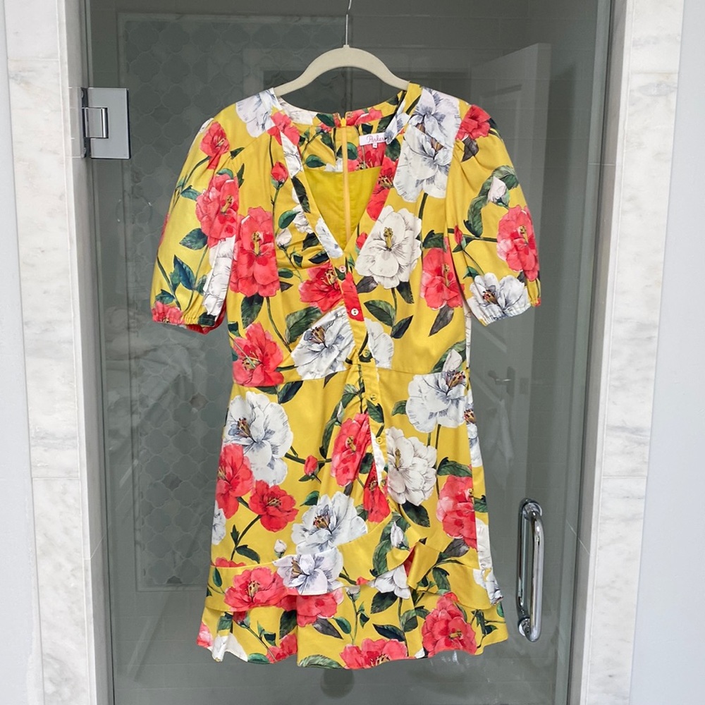 Parker dress size 12